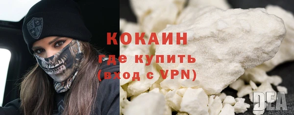 хмурый Алзамай