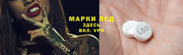 хмурый Алзамай