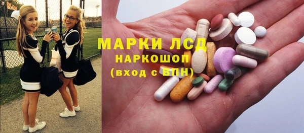 хмурый Алзамай